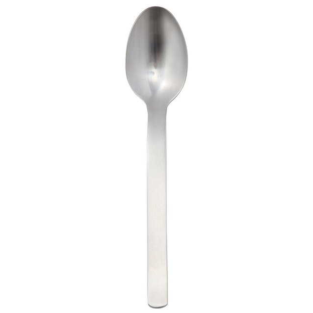 Stainless steel deals spoons